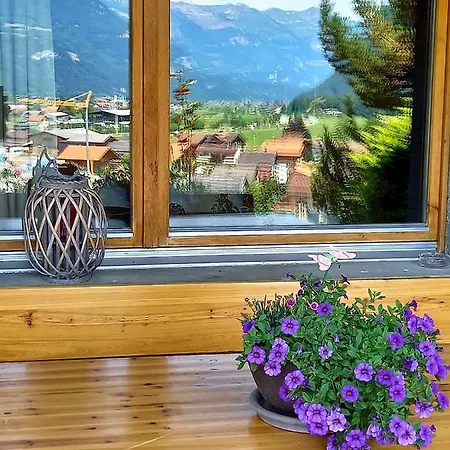 Apartment Aareschlucht- Grandiose Aussicht Fuer 2-6 Pers. Meiringen