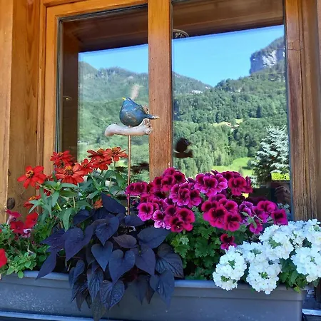 Aareschlucht- Grandiose Aussicht Fuer 2-6 Pers. * Meiringen