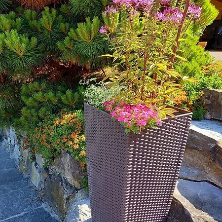 Apartment Aareschlucht- Grandiose Aussicht Fuer 2-6 Pers. *